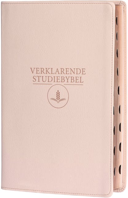 1933/53 Verklarende Studiebybel (ligroos)