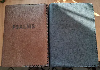 Leeroortreksels: Psalmboeke, Bybels, ens.